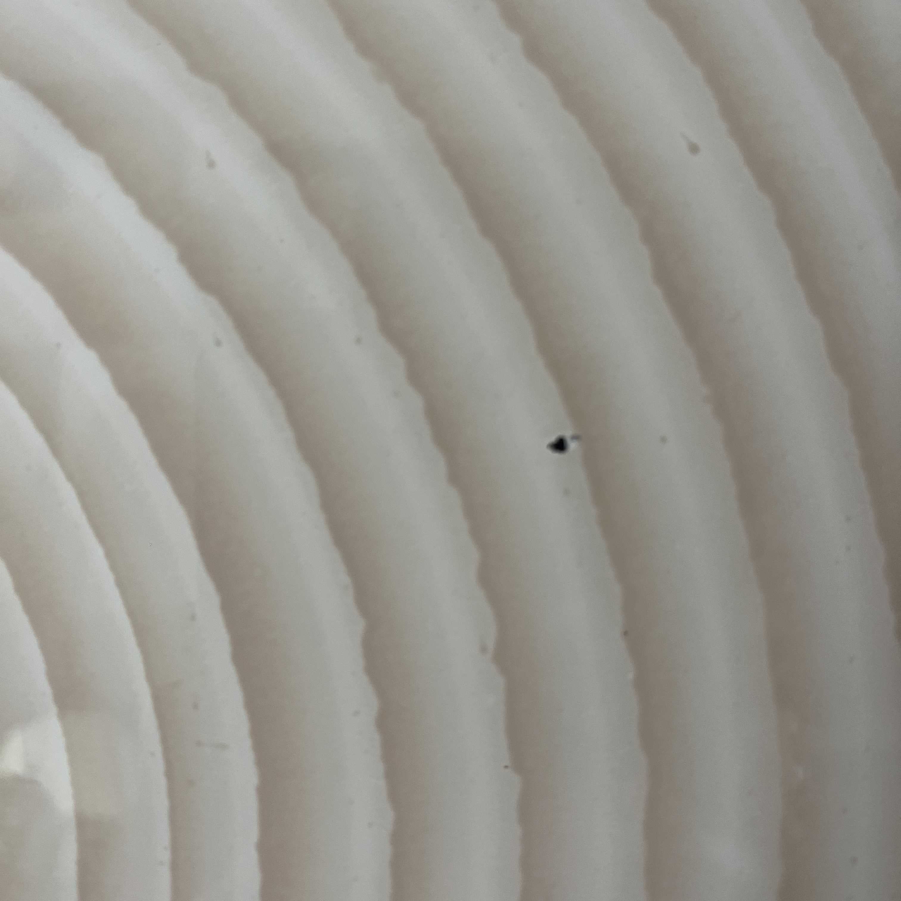 Wandleuchte / Deckenleuchte