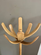 Kapstok Cactus
